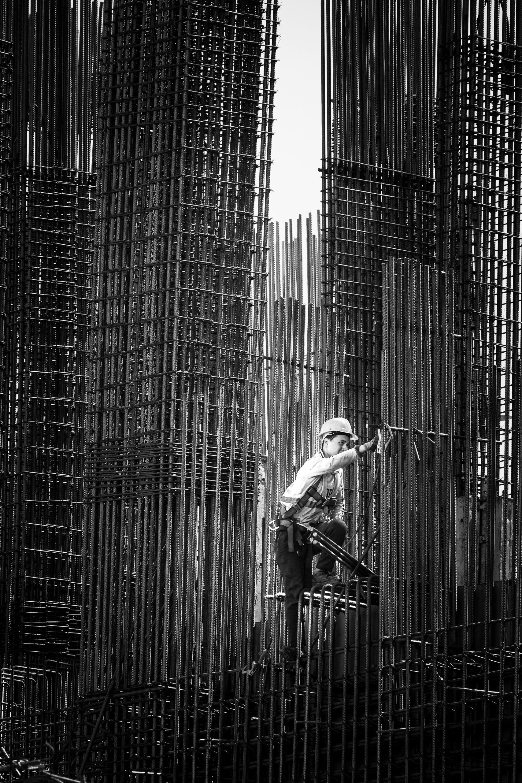 A propos d'AfricaProtection Algérie